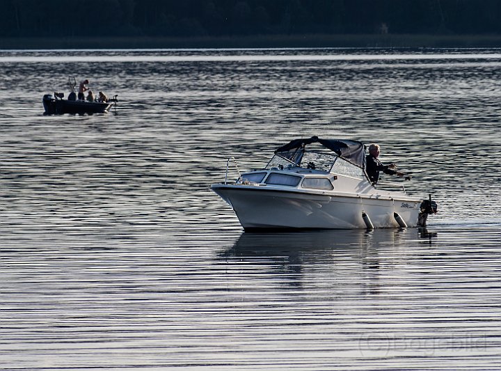 Fiske3 Åsunden.jpg